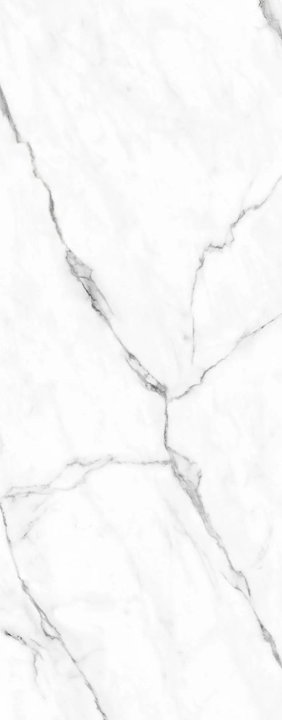 HSK RenoDeco Designpaneel 100x255 cm Natuursteen Marmer Carrara Wit Zijdeglans