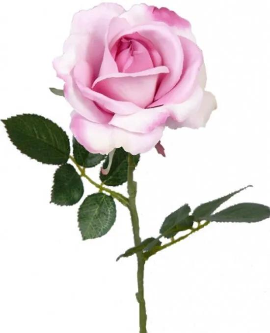 Fun & Feest Bloemen Kunst roos roze