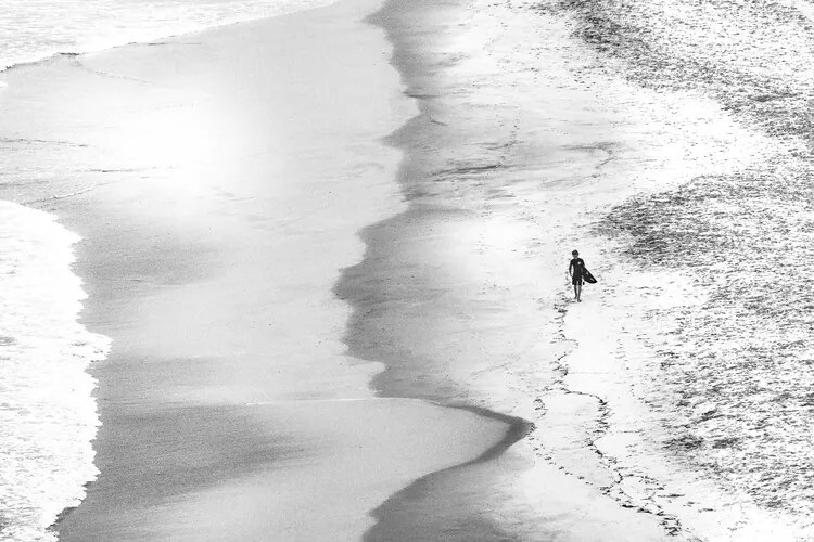 Foto Back on dry land, Michel Groleau