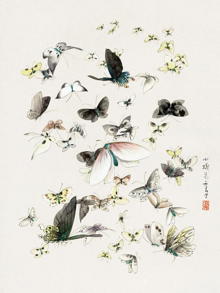 Kunstdruk Butterflies & Moths (2 of 2) - Katsushika Hokusai, (30 x 40 cm)