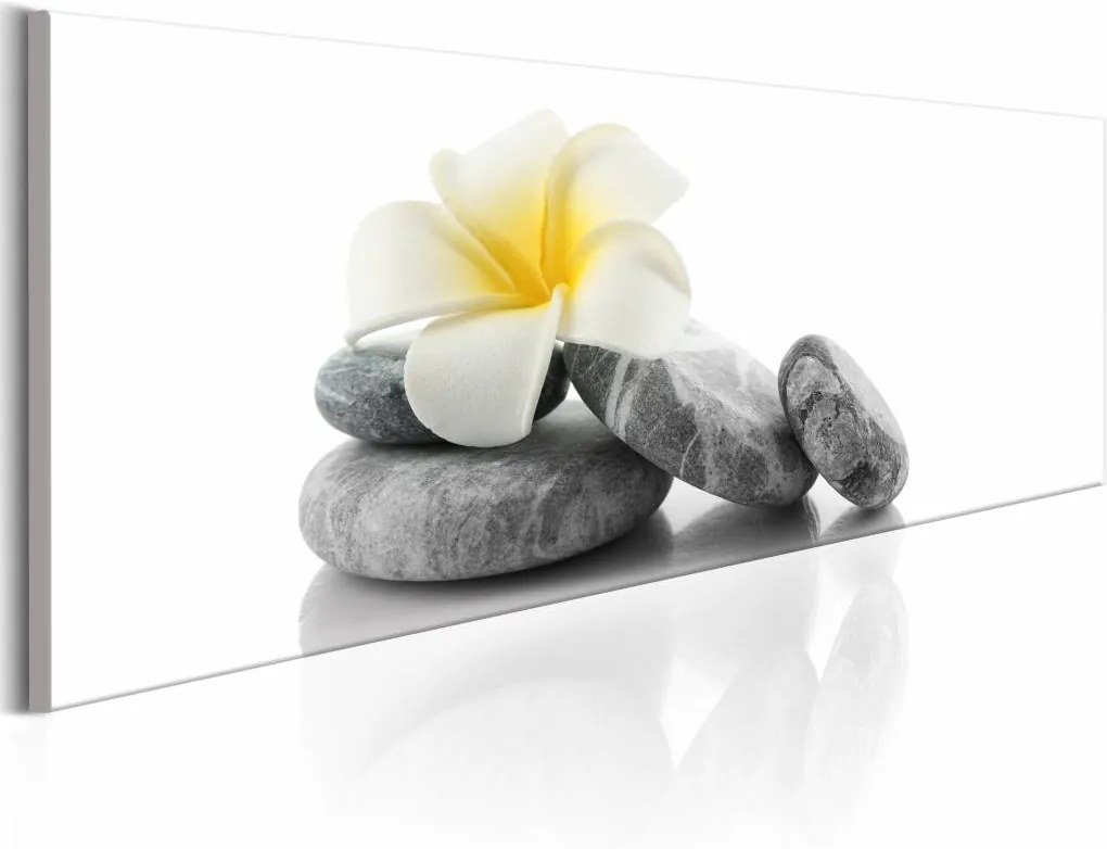 Schilderij - White Lotus , stenen en bloem , wit grijs