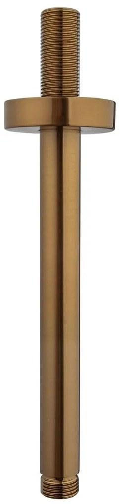 Mueller Bronzo inbouw regendouche rond met 30cm hoofddouche en plafondarm 20cm brons koper geborsteld