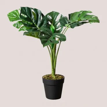 Decoratieve Kunstplant ↑70 Cm Monstera ↑70 Cm - Sklum