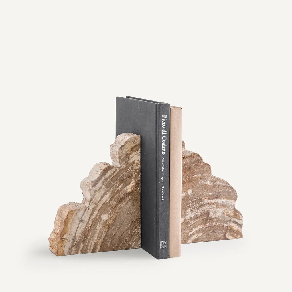 Set van 2 boekensteunen van versteend hout, Kayu