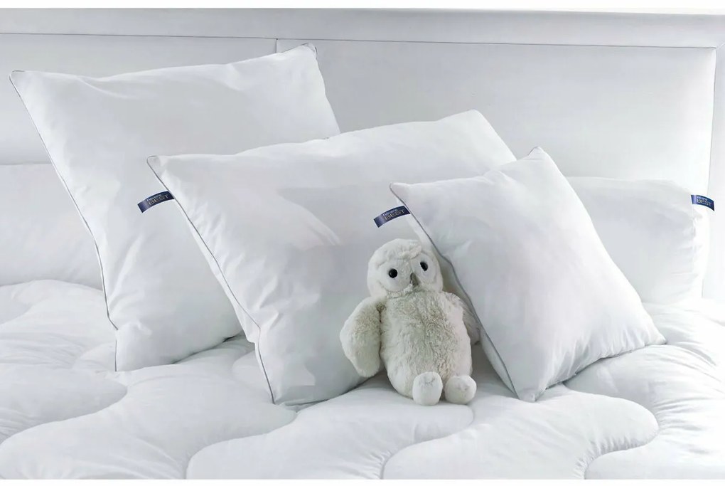 Stevig hoofdkussen 50% dons 50% vezel