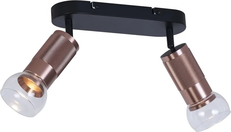 Afgeronde plafondspot donker brons 2-lichts draai- en kantelbaar - Veerle