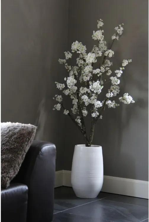 Wit Bloesemboom Incl, pot.± 150 cm