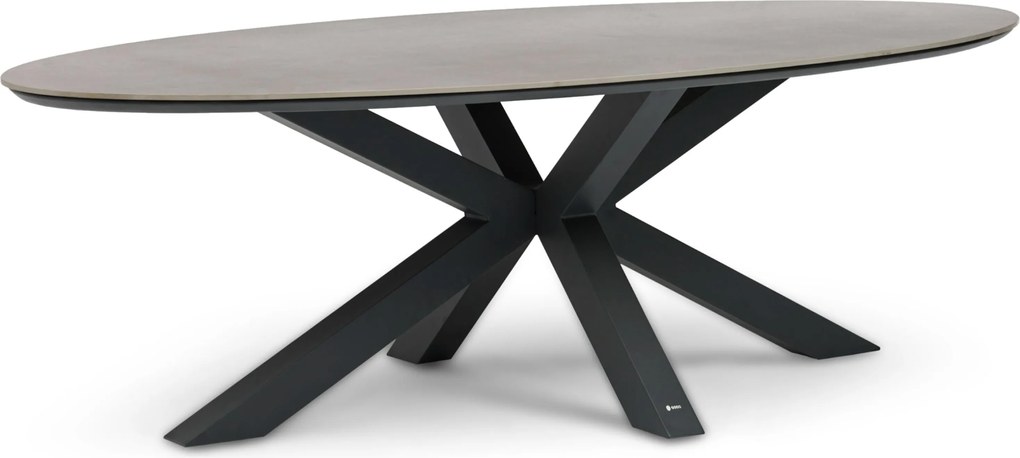 Dining Tuintafel ovaal 240 x 120 cm Grijs Lunea
