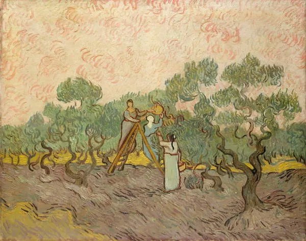 Kunstreproductie The Olive Pickers, Saint-Remy, 1889, Vincent van Gogh