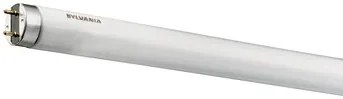 Sylvania 0000137 T8 Luxline Plus F14W/T8/840 F14W/T8/840