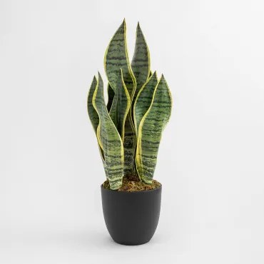Decoratieve Kunstplant Sansevieria 40 Cm - Sklum