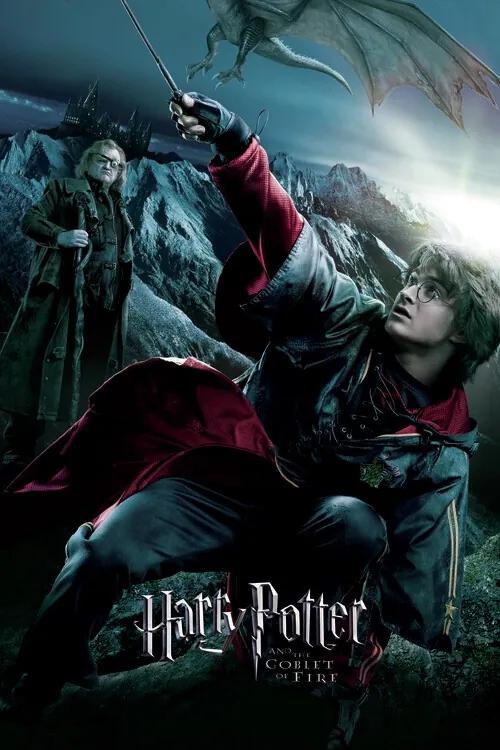 Kunstafdruk Harry Potter - De Vuurbeker - Harry, (26.7 x 40 cm)
