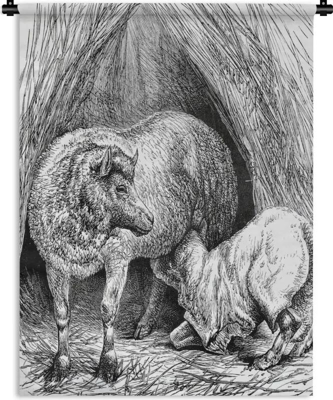 Wandkleed Schaap illustratie - Een antieke illustratie van een schaap dat gevoed wordt Wandkleed katoen 60x80 cm - Wandtapijt met foto