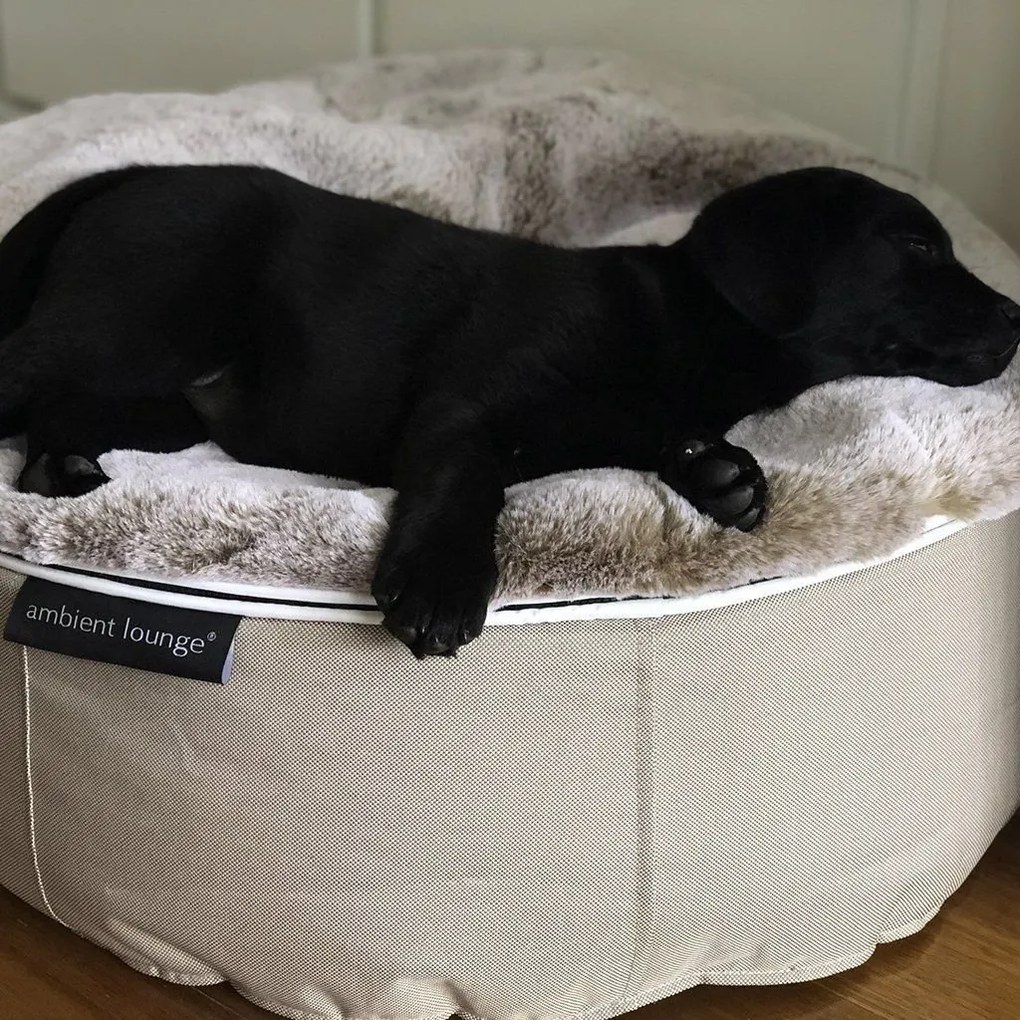 Pet Bed Indoor/Outdoor Cappuccino - Medium