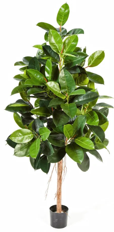 Ficus Elastica kunstplant - 140 cm