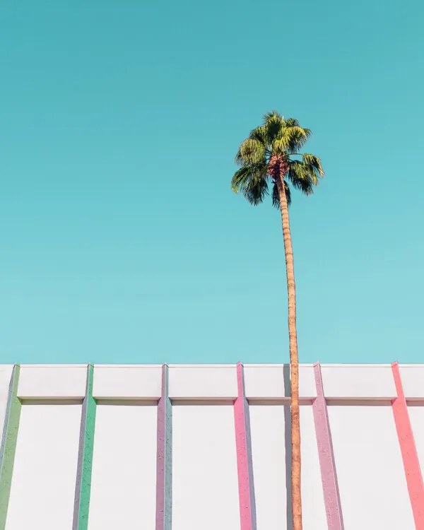 Foto Above and Beyond, Tom Windeknecht