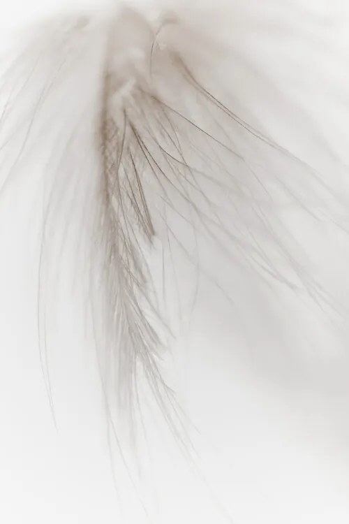 Foto White Feather, Magda Izzard