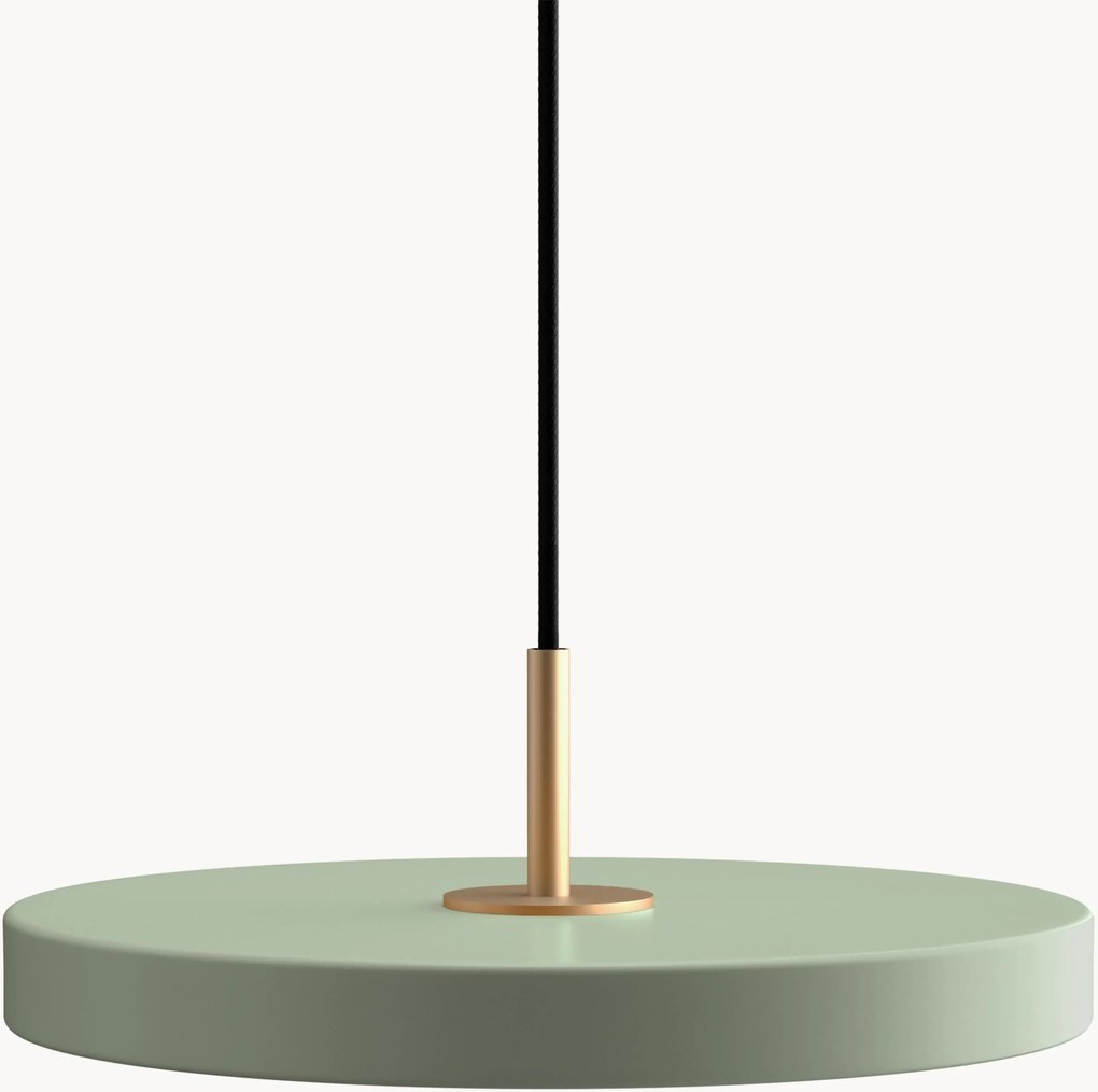 LED-hanglamp Asteria, in verschillende formaten