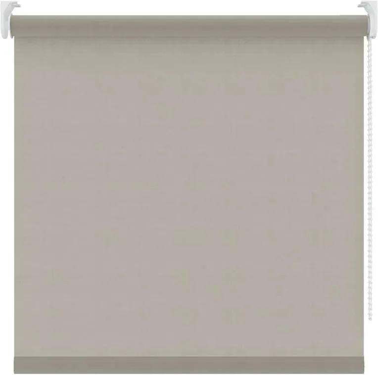Rolgordijn lichtdoorlatend - lichtgrijs - 120x190 cm - Leen Bakker