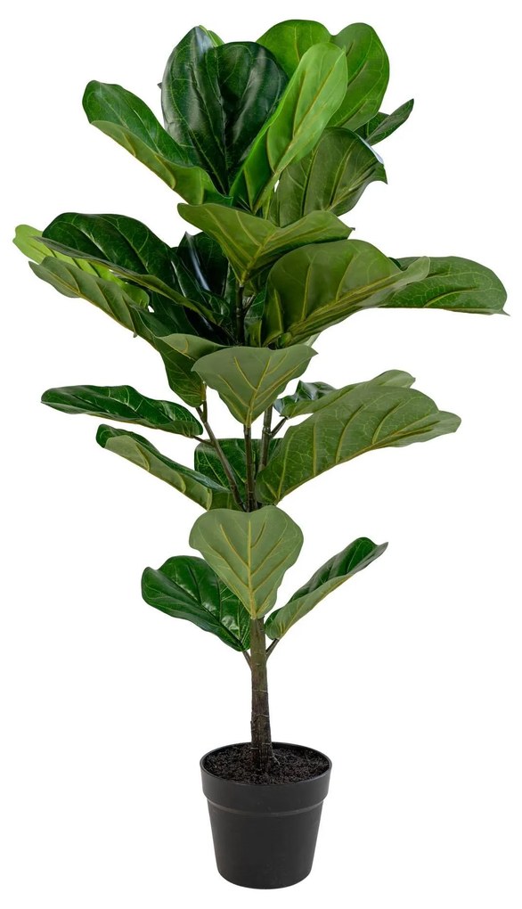 Kunstplant Ficus | House Nordic
