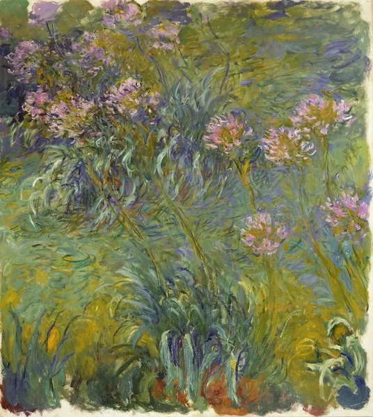 Claude Monet - Kunstdruk Agapanthus, 1914-26, (35 x 40 cm)