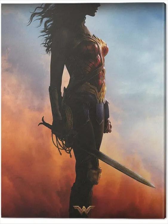 Print op canvas Wonder Woman - Teaser, (80 x 60 cm)