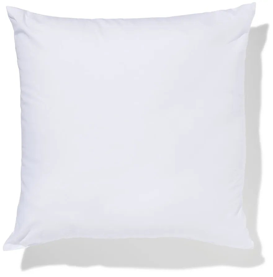HEMA Kussen Binnenvulling 430gram 50x50 (wit)