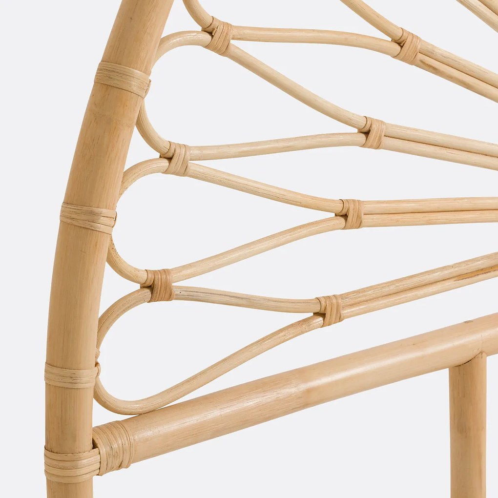 Rotan hoofdbord, TIO