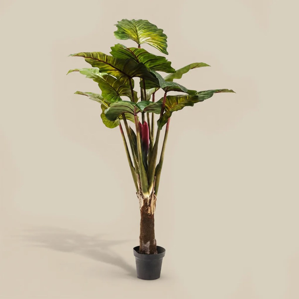 Deco Boom Regenwoud