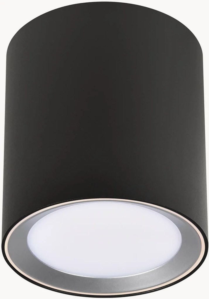 Dimbare LED plafondspot Landon