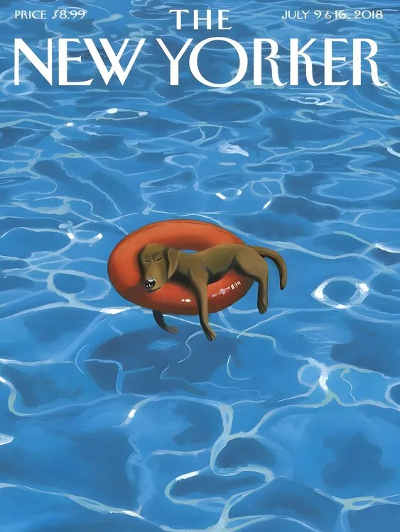 Ilustratie The NY Magazine Cover 202