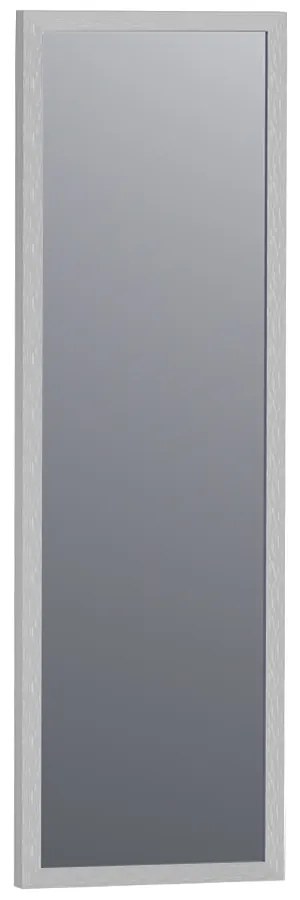 Sanituba Silhouette 25x80cm spiegel met RVS look omlijsting