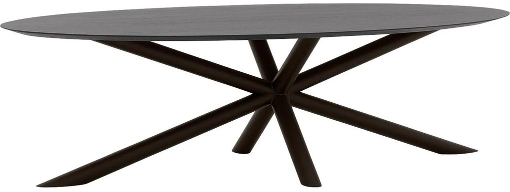 Goossens Excellent Eettafel Gs-1302, Ovaal 300 x 130 cm