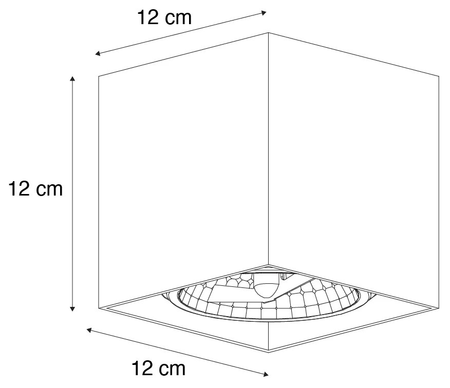 Design Spot / Opbouwspot / Plafondspot donkerbrons vierkant draai en kantelbaar - Box Design G9 Binnenverlichting Lamp