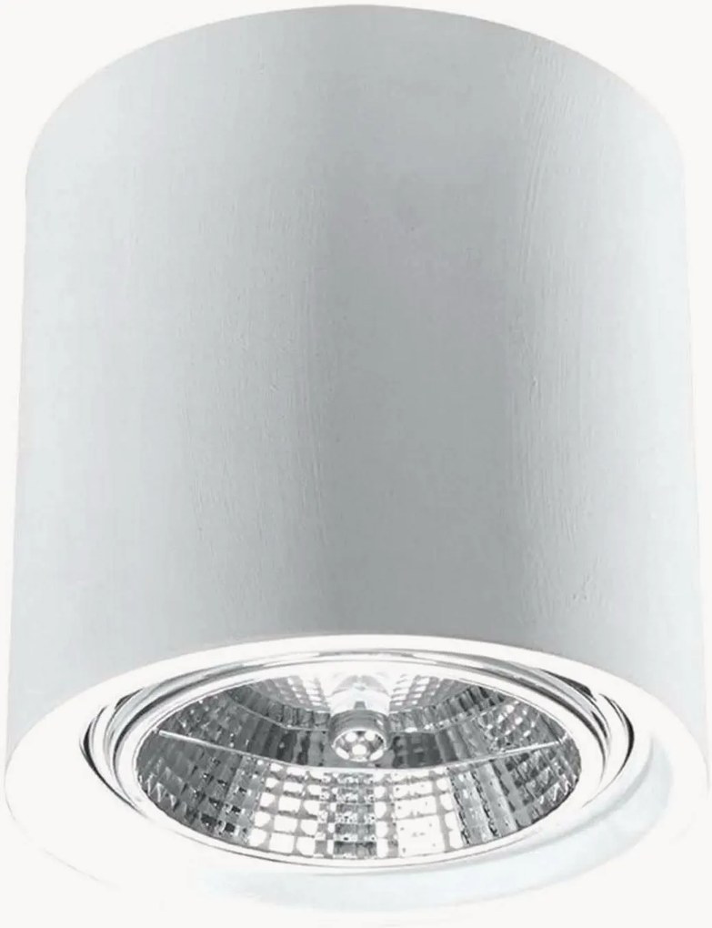 Wandlamp Roxa