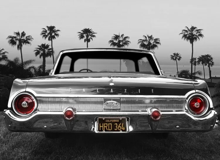 Foto Ford Galaxie 500XL, Larry Butterworth