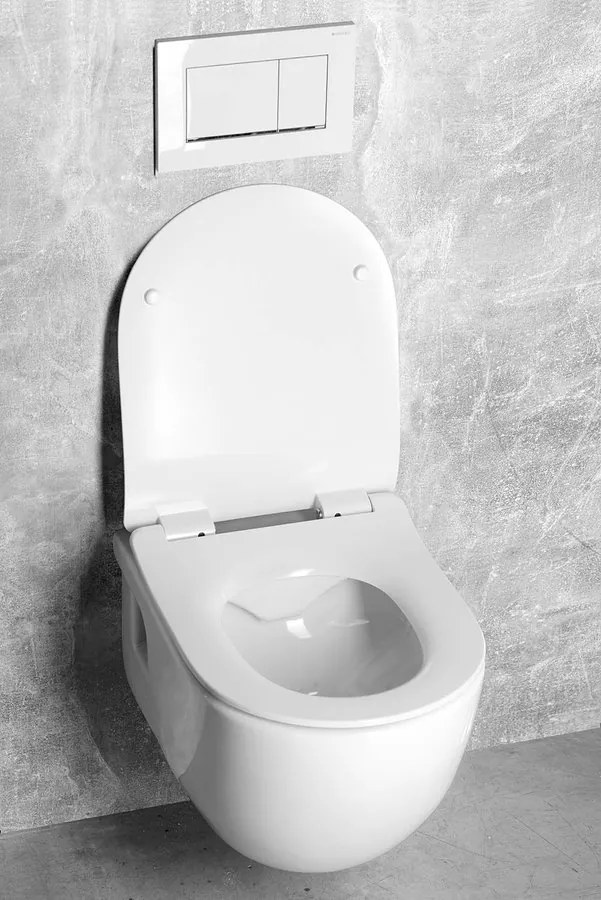 Sapho Brilla randloos toilet met zitting 36.5x53cm groen mat