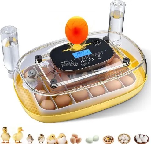 VEVOR Volautomatische broedmachine voor 24 eieren met eierkeerder, temperatuur- en vochtigheidsregeling, geschikt voor het uitbroeden van kuikens, eenden, ganzen en kwartels.