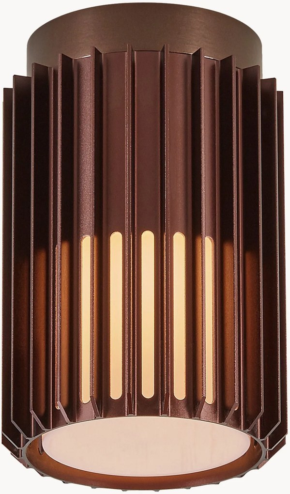 Dimbare outdoor LED-plafondlamp Aludra