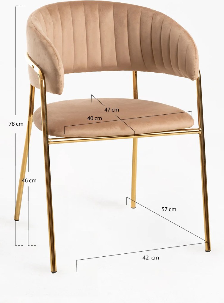 Moniel Foud Fluwelen Stoel