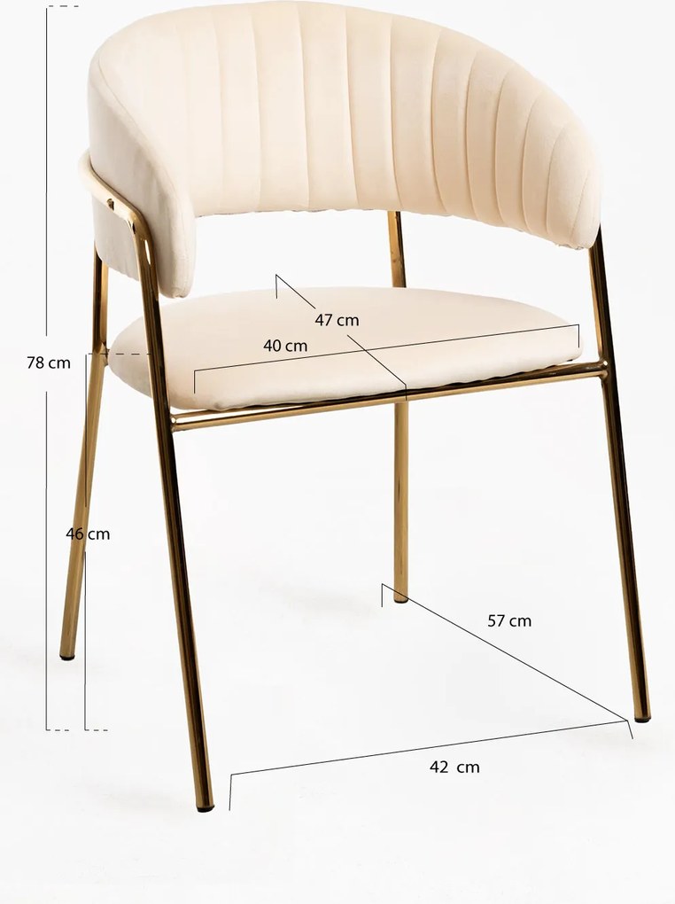 Moniel Foud Fluwelen Stoel
