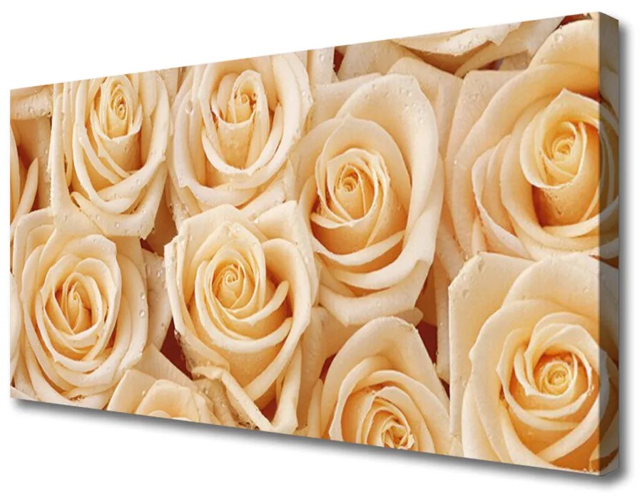 Print van doek Rozen bloemen plant 100x50 cm