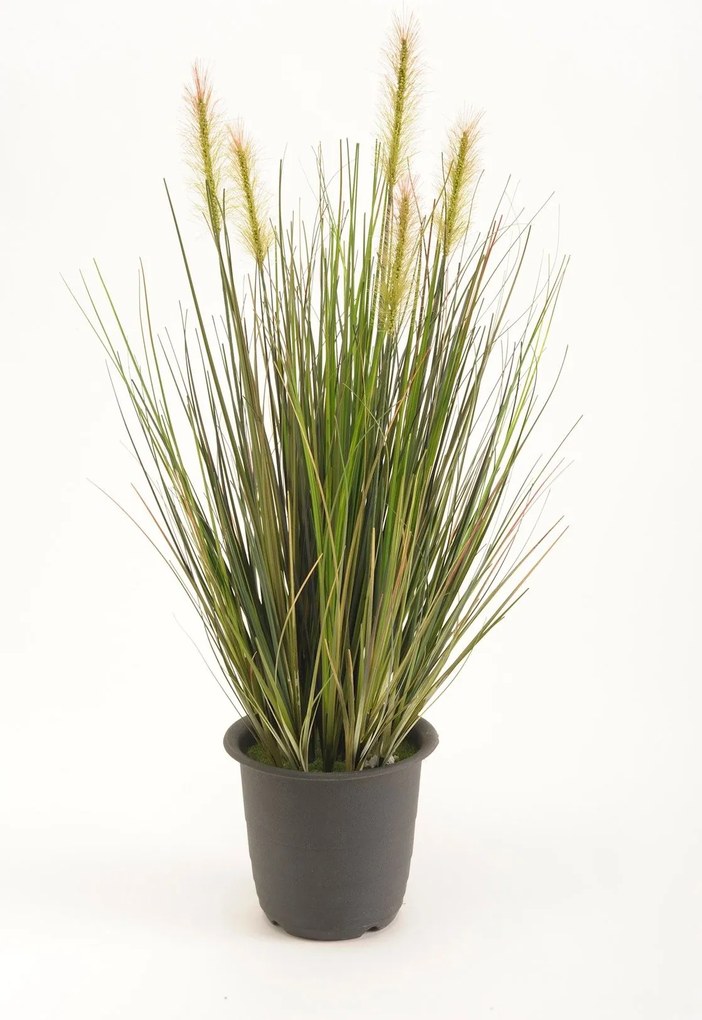 Emerald siergras groen 45cm