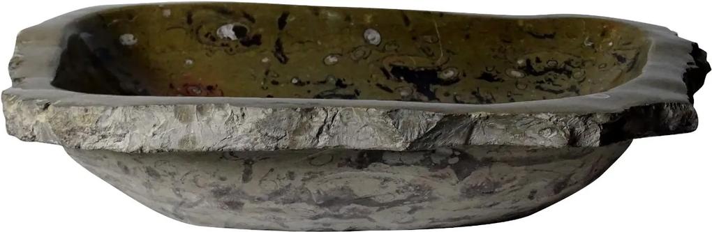 Bruin marmeren waskom | Eeuwenoud Goniatiet Fossiel | 37,5 x 55 x 12,5 cm