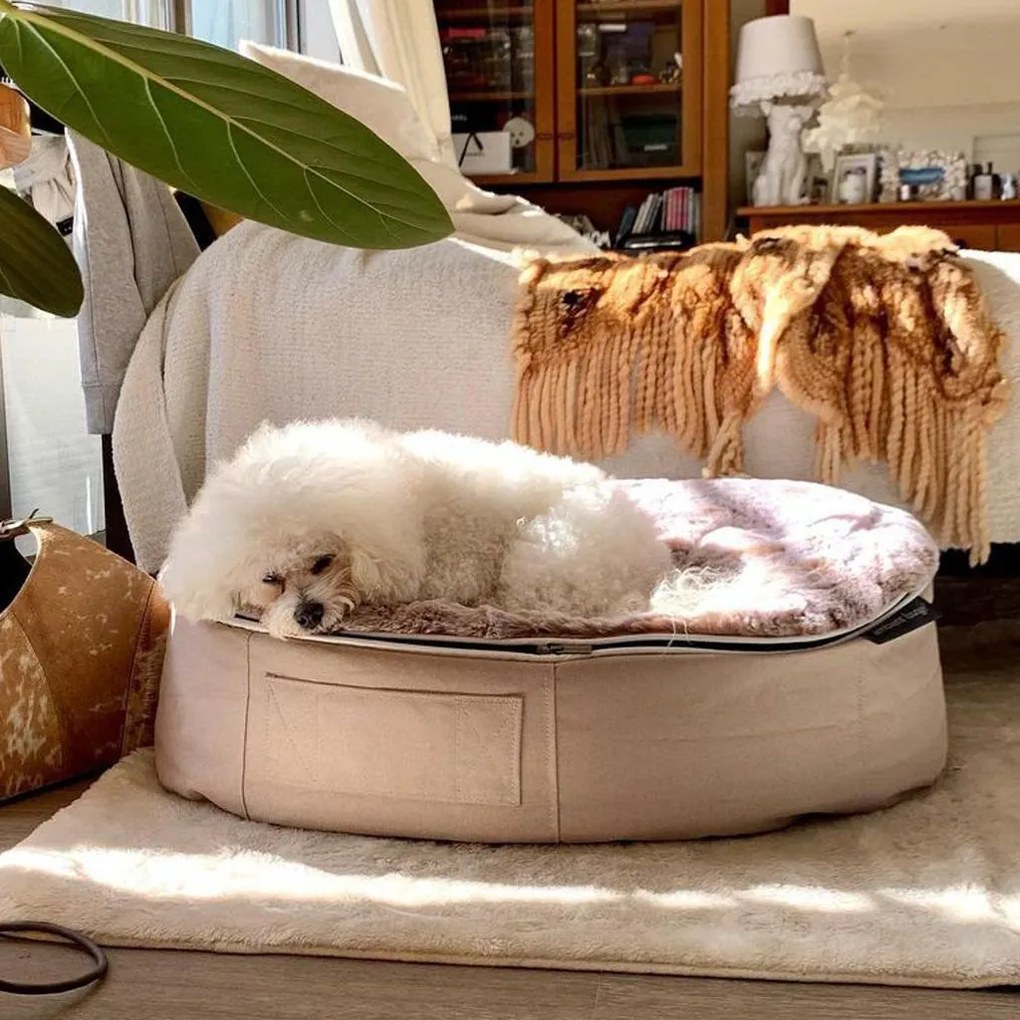 Pet Bed Indoor/Outdoor Cappuccino - Medium