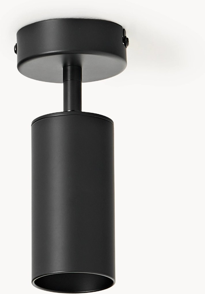 Plafondspot Cassandra