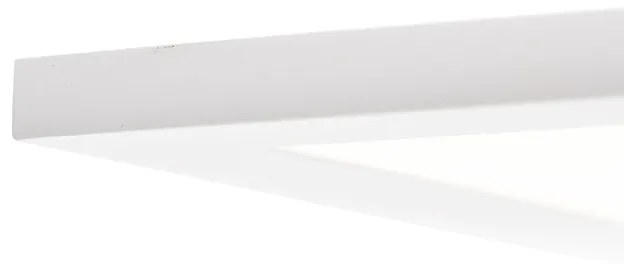 LED paneel wit incl. LED en dimmer met afstandsbediening - Liv Modern vierkant Binnenverlichting Lamp