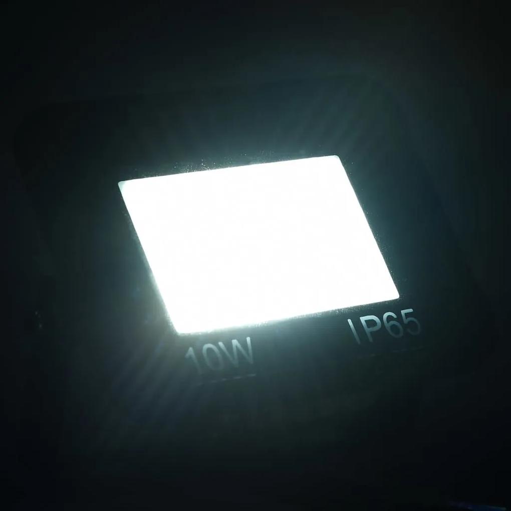 vidaXL Spotlight LED 10 W koudwit