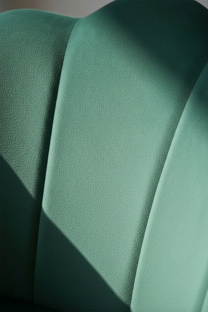 Blume Fluwelen Stoel Zwart Poten