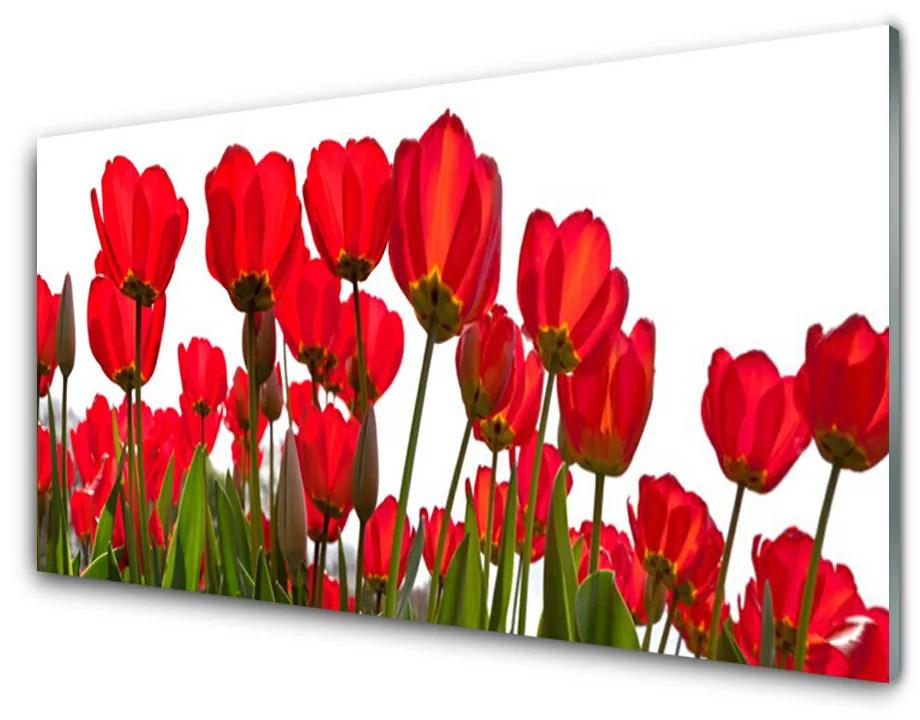Foto op plexiglas Flowers on the wall 100x50 cm